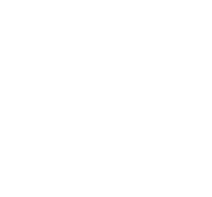 Return to homepage